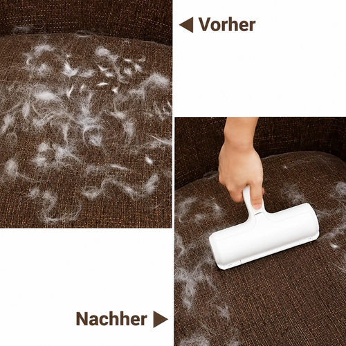 Katzenbürste